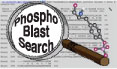 phospho.ELM Blast Search