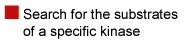 Kinase search