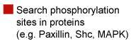 Protein search